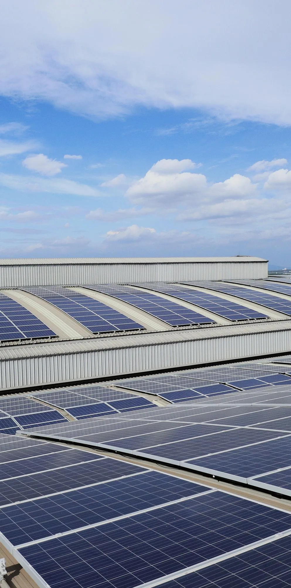 Rangées de panneaux solaires sur une toiture industrielle, présentées par LONGi