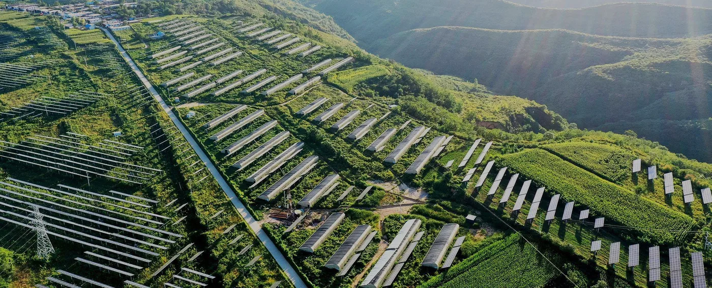 Vue aérienne de rangées de panneaux solaires sur des collines verdoyantes, imagerie de projets LONGi